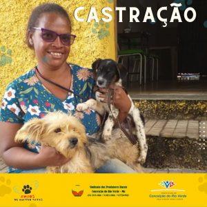 Projeto de Castração Cães e Gatos : uma parceria entre a Prefeitura, ONG 4 Patas e Sindicato dos Produtores Rurais