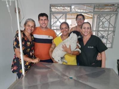 MUNICÍPIO OFERECE CASTRAÇÕES GRATUITAS EM PARCERIA COM O SINDICATO RURAL