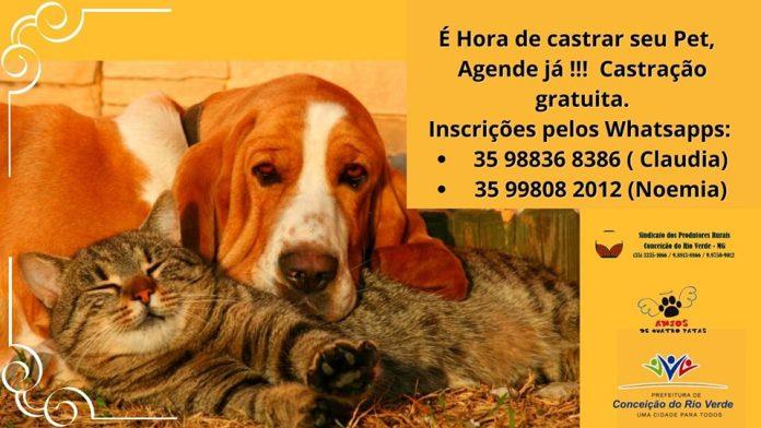 RETOMADA DE PROJETO DE CASTRAÇÕES MENSAIS GRATUITAS